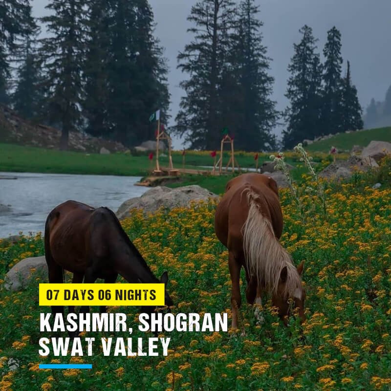 7 Days Kashmir Shogran Swat Honeymoon Tour Package