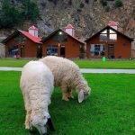Kumrat Valley Hotels and Camping Pods