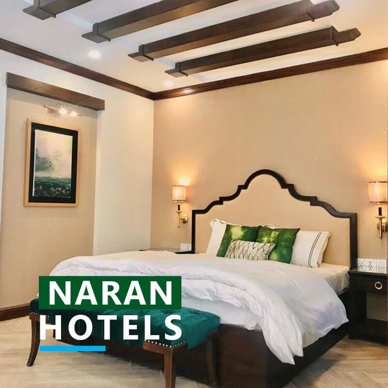 best hotels in naran