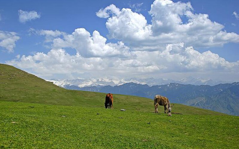 Toli Peer Rawalakot Azad Kashmir