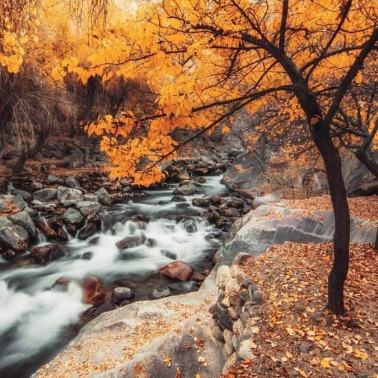 Featured Image of 8 Reasons Why Autumn is The Perfect Time to Travel