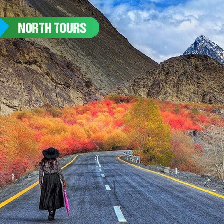 Best Travel and Tourism Company in Pakistan | Click Pakistan