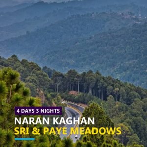 Naran-Kaghan-Sri-Paye-Meadows