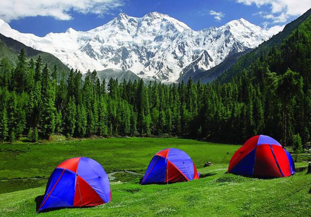 Fairy Meadows Base Camp