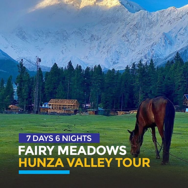Fairy meadows & Hunza tour