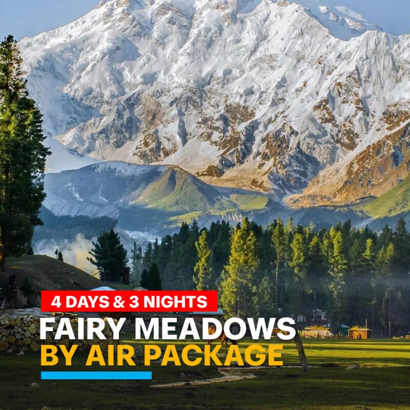 Fairy Meadows by air TOUR Package