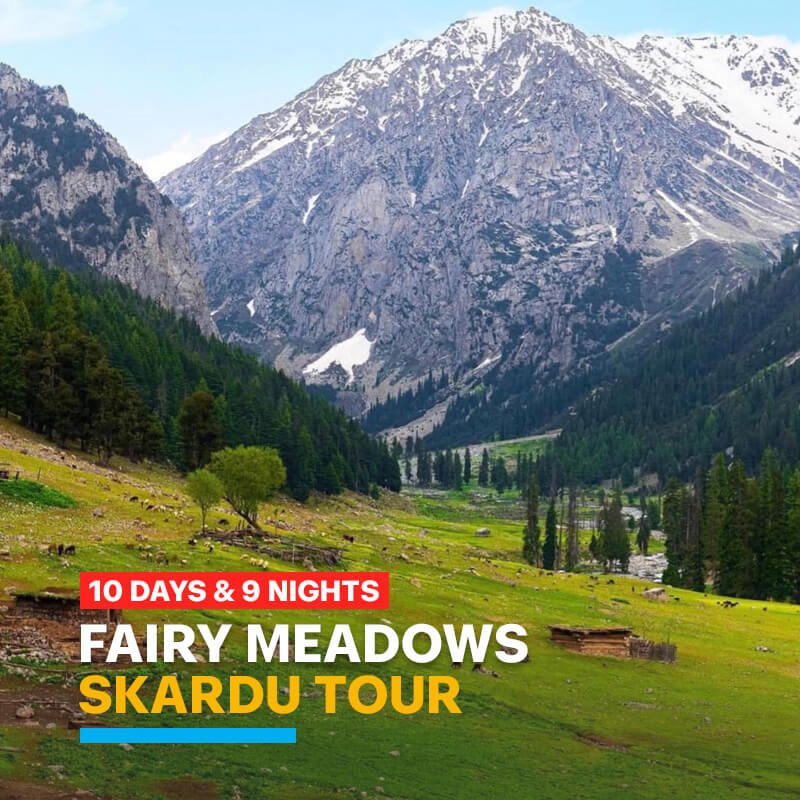 Skardu & Fairy Meadows Tour