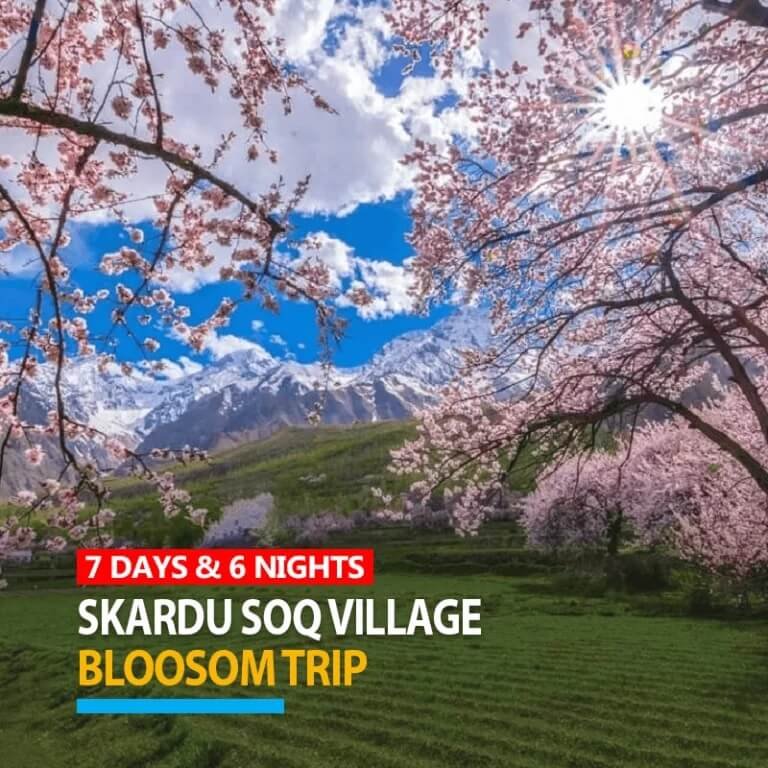 7 Days Blossom Trip to Skardu Soq Organic Village 2024