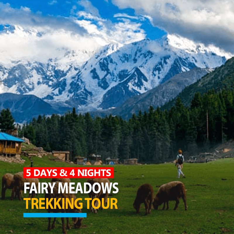 5 Days Trekking Tour Package to Fairy Meadows 2024