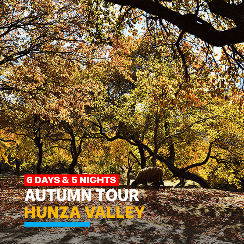 6 Days Hunza Pakistan Autumn Tour Package