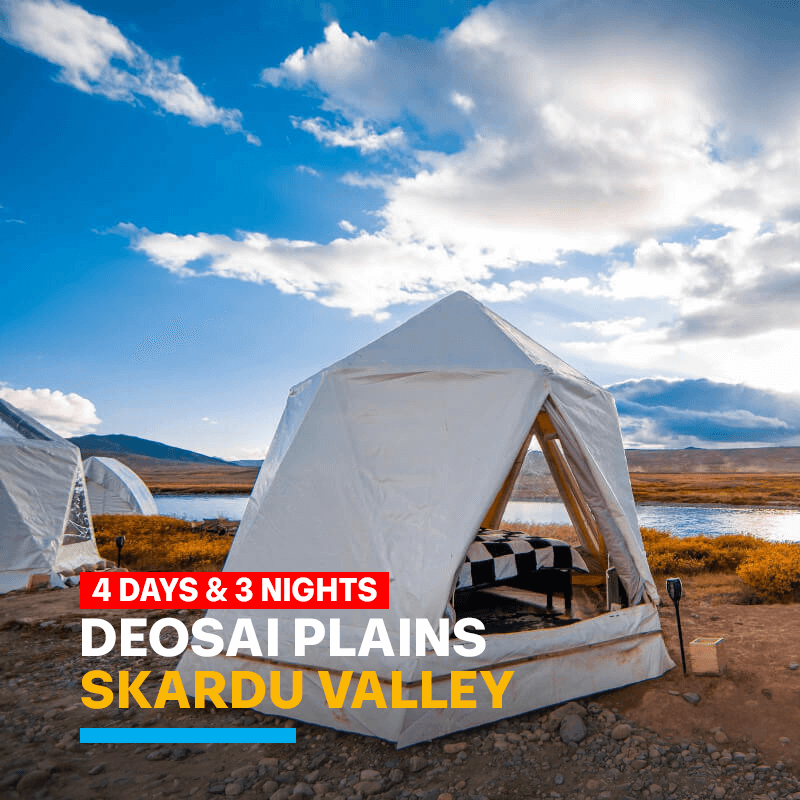 By Air Tour Package Skardu Deosai Plains