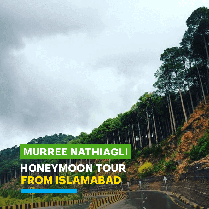 Muree & Nathiagali Tour Packages from Islamabad 2024