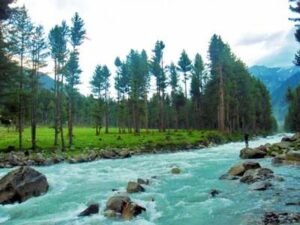 Kumrat Valley Tour Package - Kala Chashma