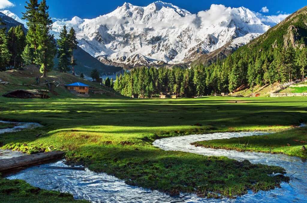 Northern Pakistan Tour Packages 2024 - Fairy Meadows