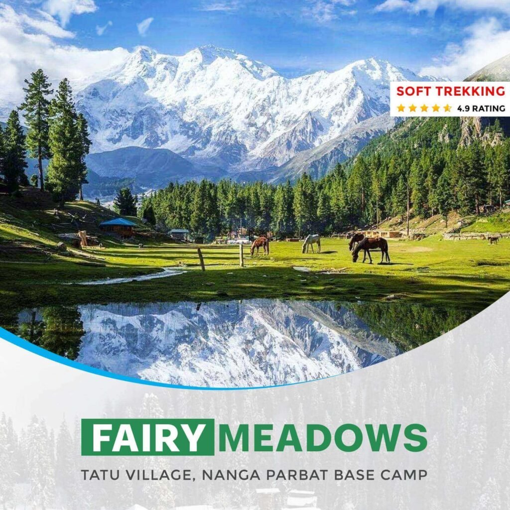 Fairy Meadows Tour Packages