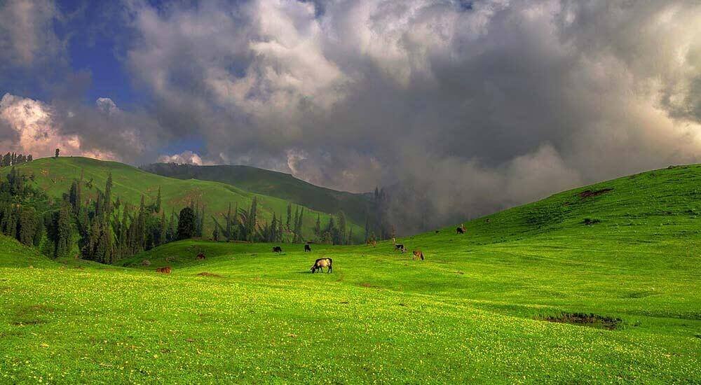 Shogran & Siri Paye - Best Honeymoon Places in Pakistan