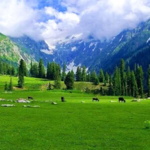 3 Days Tour to Kumrat Valley