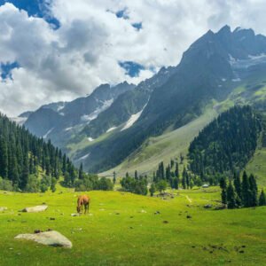 3 Days Trip to Azad Kashmir