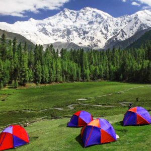5 Days Trekking Tour Package to Fairy Meadows