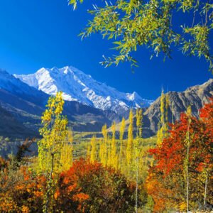 6 Days Hunza Pakistan Autumn Tour Package