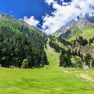 6 Days Trip to Hunza Naltar Valley