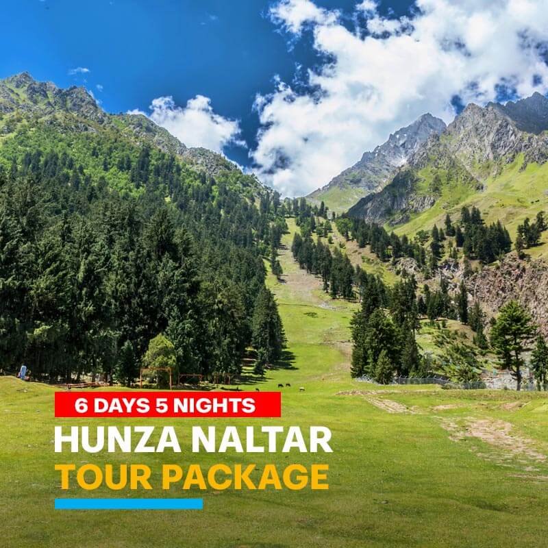 6 Days Trip to Hunza and Naltar Valley