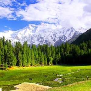 7 Days Honeymoon Tour to Hunza Fairy Meadows