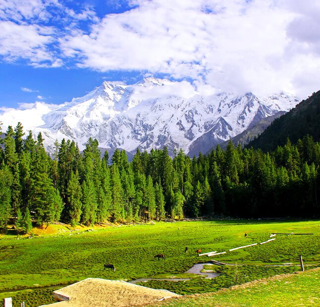 7 Days Honeymoon Tour to Hunza Fairy Meadows