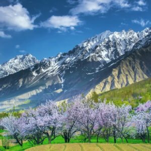 Blossom Trip to Skardu Soq Organic Village