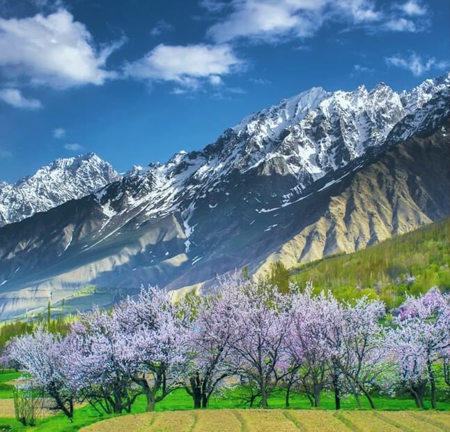 Blossom Trip to Skardu Soq Organic Village