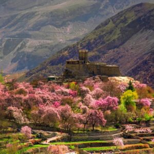 Cherry Blossom Hunza Tour Package