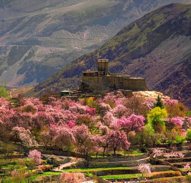 Cherry Blossom Hunza Tour Package