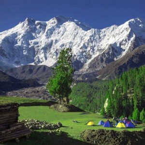 Fairy Meadows Skardu Tour Package (8 Days 7 Nights)