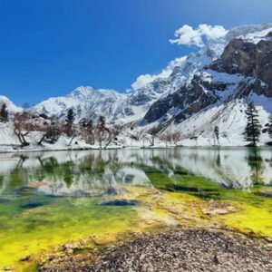 Hunza Karimabad Naltar By Air Tour Package 5 Days