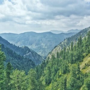 Swat Kalam Nathiagali Honeymoon Tour