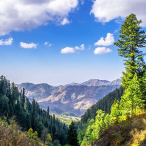 2 Days Trip to Murree