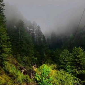 3 Days Nathia Gali Tour Package for Couple from Lahore