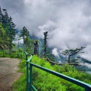 3 Days Trip to Murree