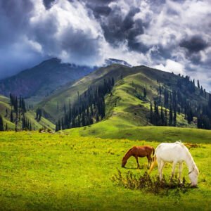 5 Days 4 Nights Naran Shogran Luxury