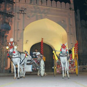Lahore Tonga Ride Tour
