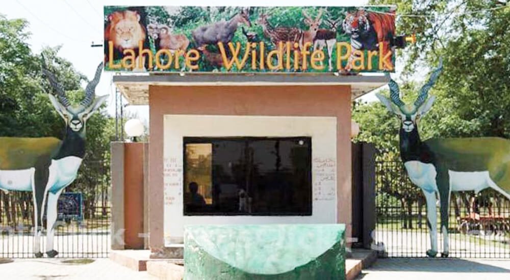 Safari Zoo - Best Tourist Attraction in Lahore