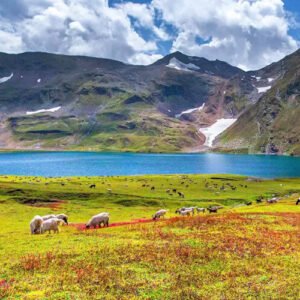 By Air Tour Package To Skardu Deosai Plain