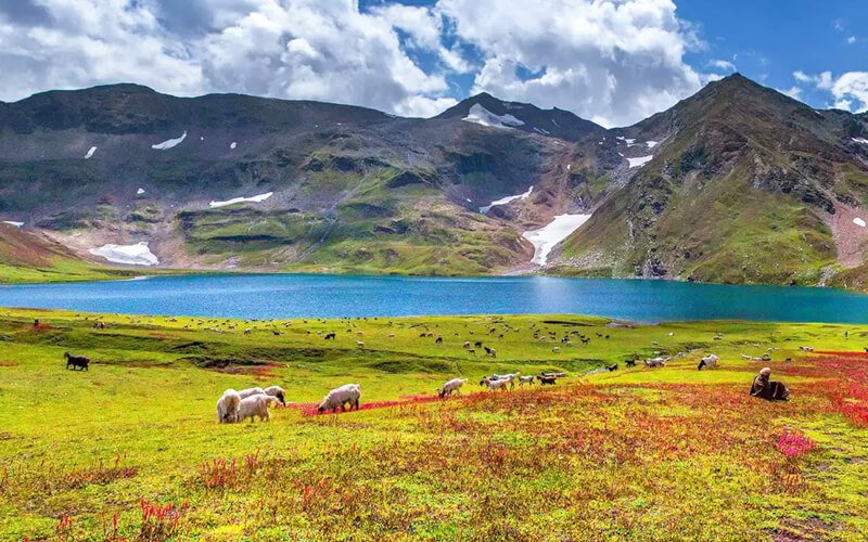 4 Days By Air Tour Package To Skardu Deosai Plain