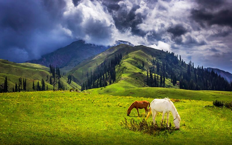 5 Days 4 Nights Naran Shogran Luxury.