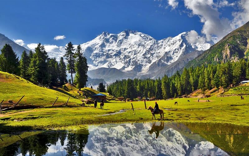5 Days Fairy Meadows Family Trip Package 2025