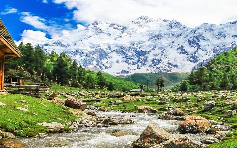 5 Days Fairy Meadows Nanga Parbat Basecamp Tour