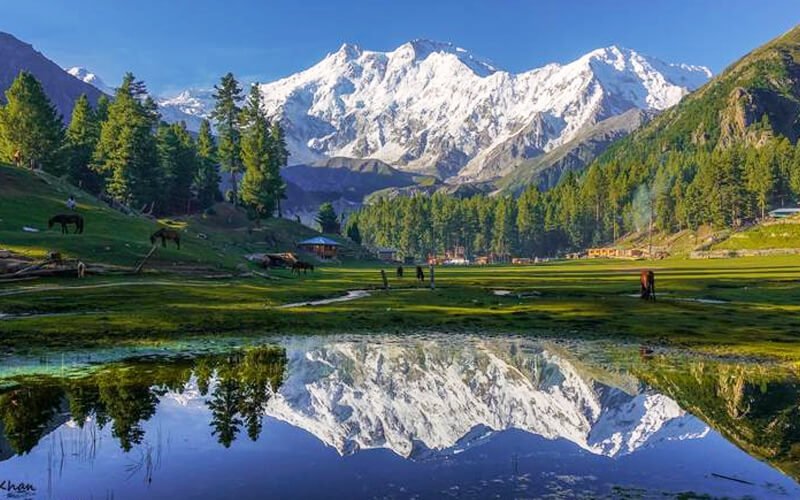 5 Days Trip to Fairy Meadows