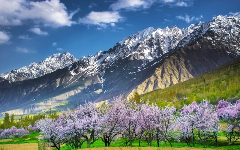 7 Days Blossom Trip to Skardu Soq Organic Village
