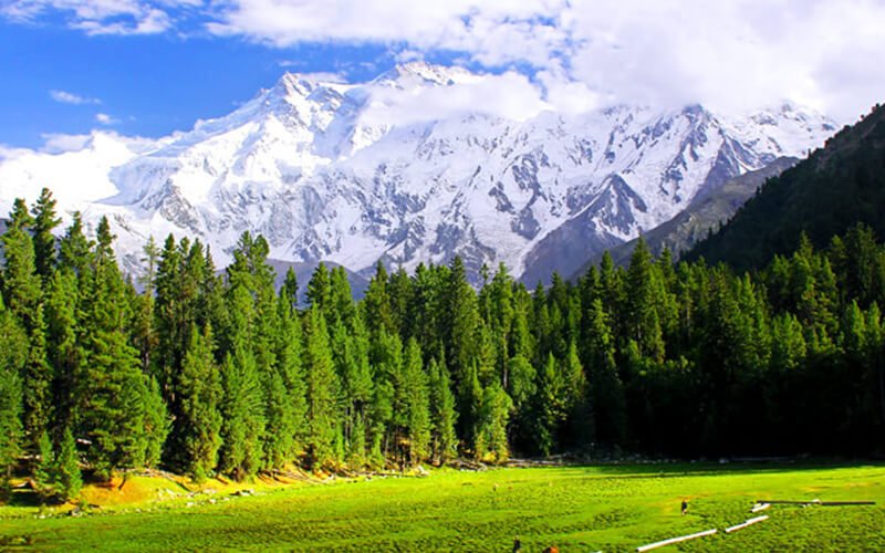 7 Days Honeymoon Tour to Hunza Fairy Meadows