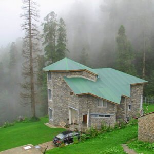 Ayubia